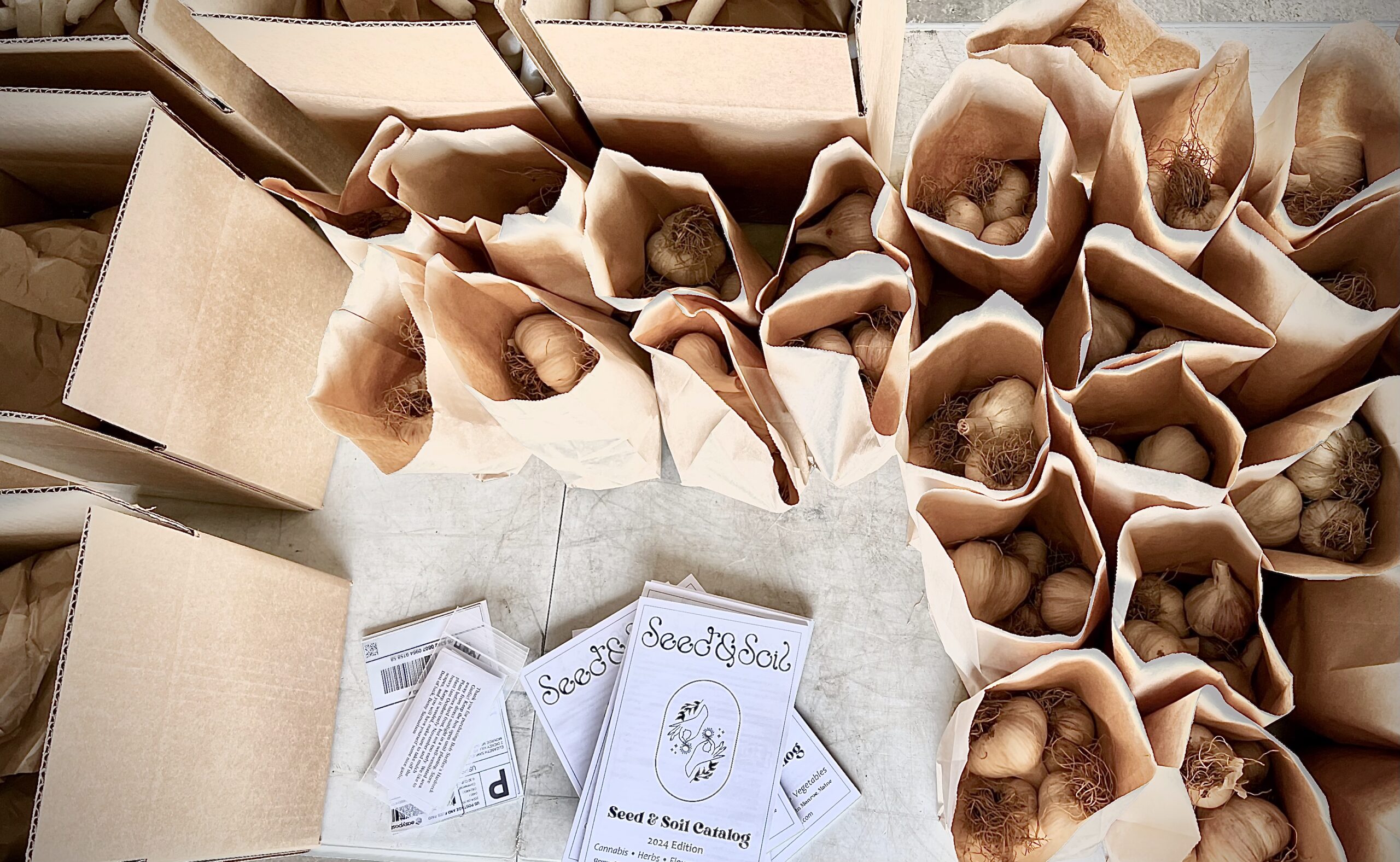 Bob steffen's Hardneck Garlic being packed for shipment